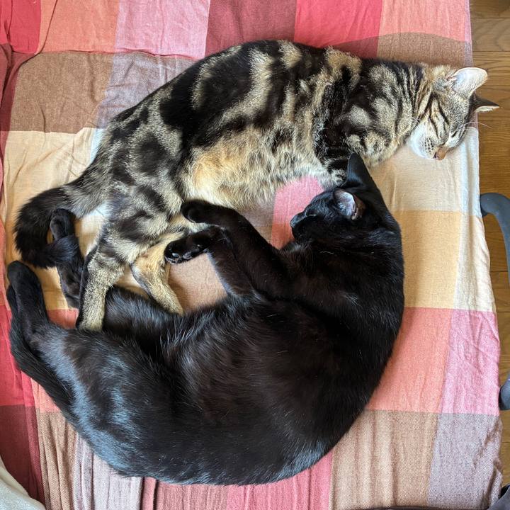 B0f55164 1acc 4ad1 853f 1ac687bc9773 1748573085919