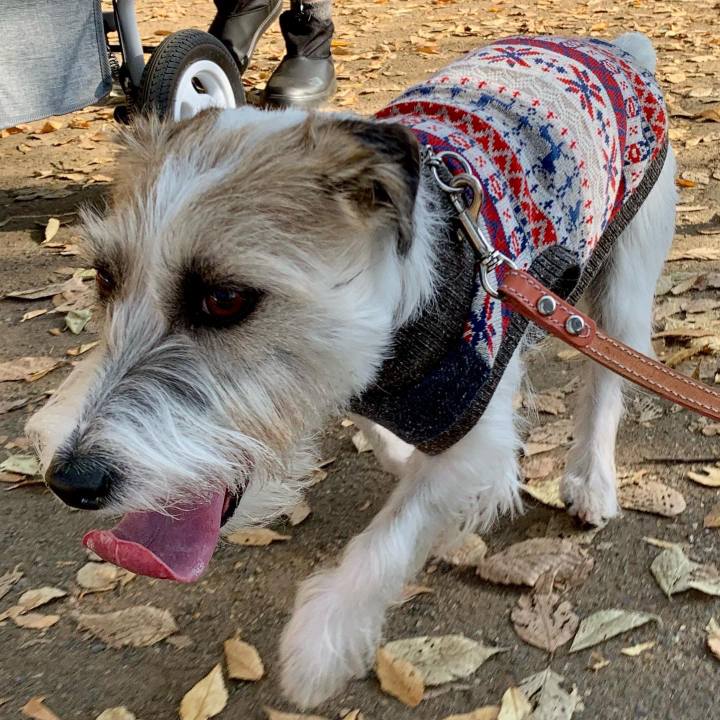 B0f5591a e853 4eac 8ced 67f1507a1e7f 1668861875637