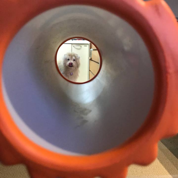 B0f5779d 3d40 4ec9 93a9 3e233dc6a168 1634687669244