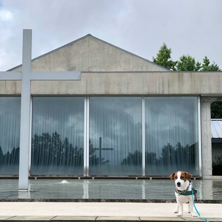 B0f591a1 a436 40be b894 6b1c7e3f314e 1593937518817