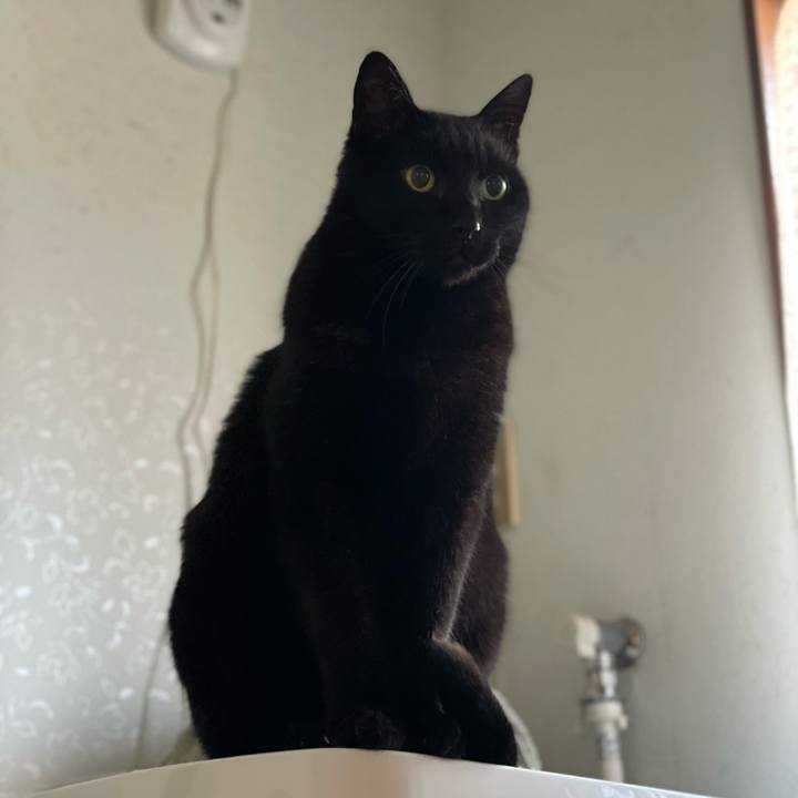 B0f60944 a4c7 4da3 a7a6 f6cf8132a40e 1643768308251