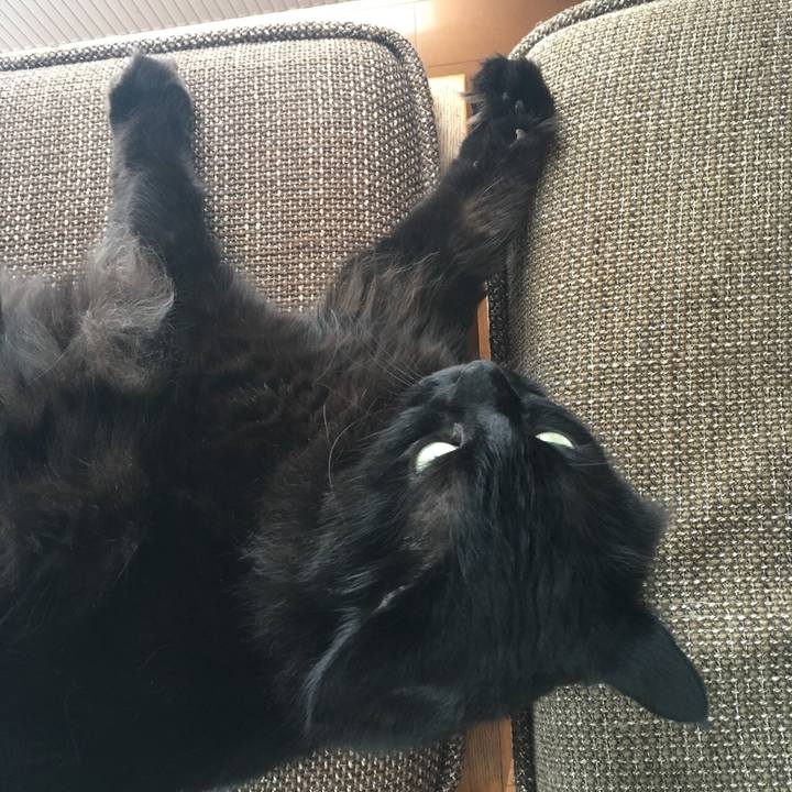 B0f66b9e dc79 40ca 9d11 23f15d8f4cae 1516157305302