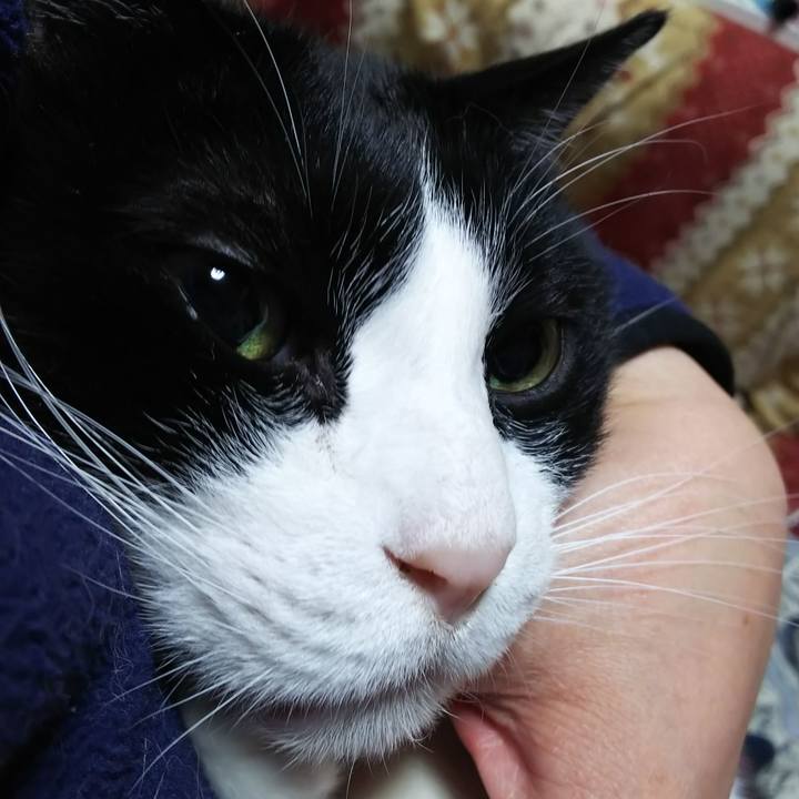 B0f68490 b94c 477a a001 38a53cbacea1 1581025861371