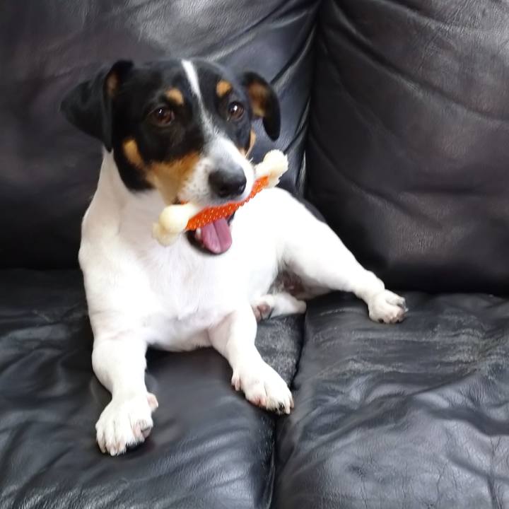 B0f6a530 e602 41e2 98f6 e83851a215d5 1576550879421