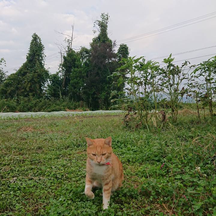 B0f6daa0 f423 46b6 afc9 dc654ca4b97f 1568775209997