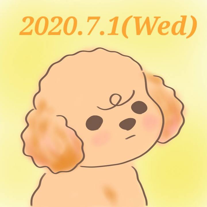 B0f6e4b0 2529 4919 b1e0 da22a38098b9 1593611624754