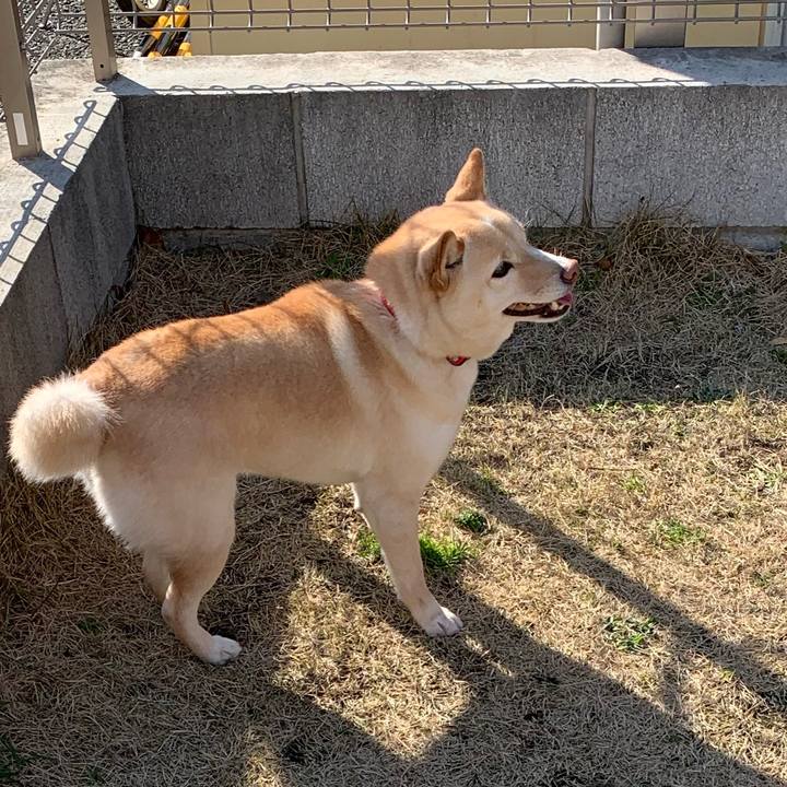 B0f6edf5 06a2 4e96 8e72 df251a9679a4 1615943467910