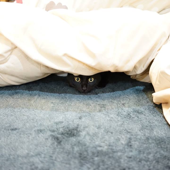 B0f6f0c6 d1a1 466f 9cbc e058e4dd4898 1517320618154