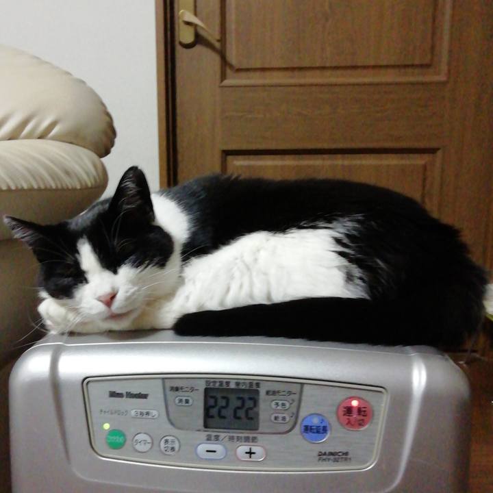 B0f72556 b4fc 4979 b6dd 2d87cf04ee74 1576121020575