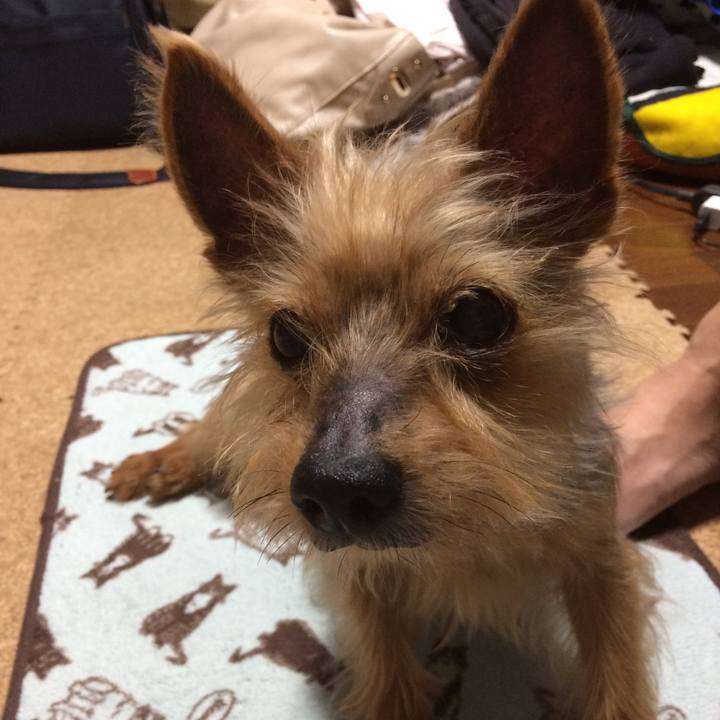 B0f73564 c4f6 434d b6dd a3245749859e 1557732472866