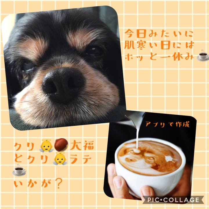 B0f79a2c c961 45a2 a56f 7bbff0d8338b 1537420407758