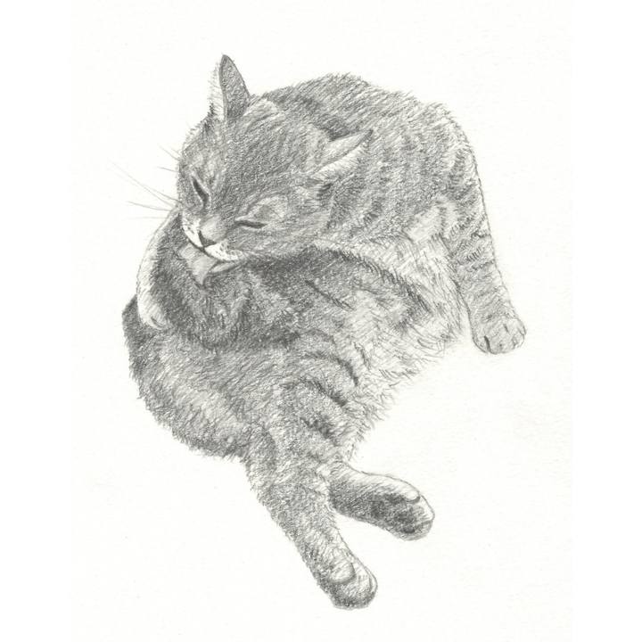 B0f7acfe c137 4432 aeef cb71f7835c5c 1540213273554