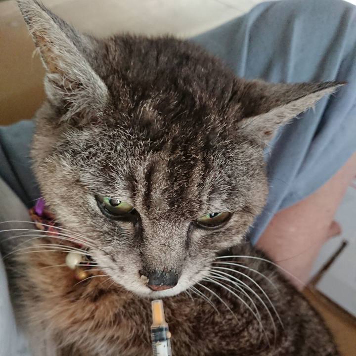 B0f7b93d 3e3a 4820 adac 60168d464fdd 1597446193059