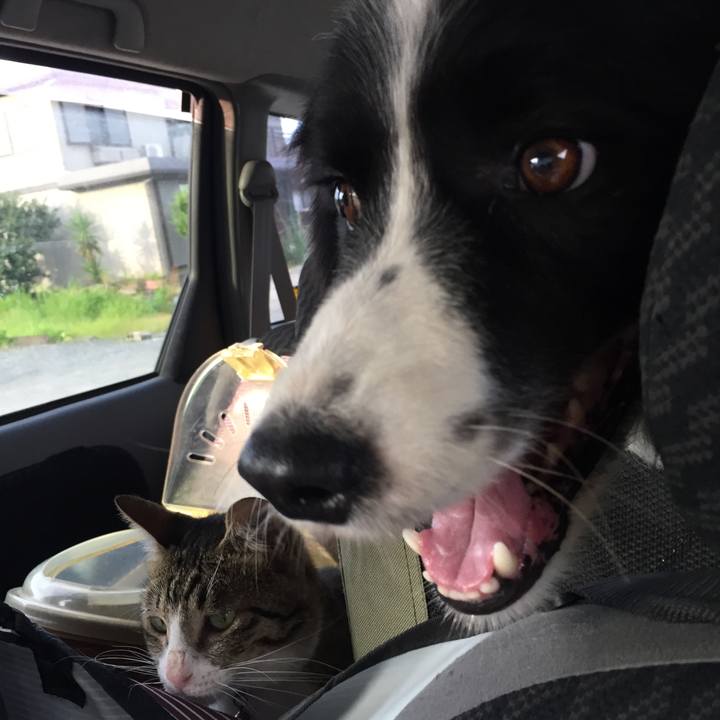 B0f80c50 7f89 4f67 a189 a3759982f40f 1529485932713