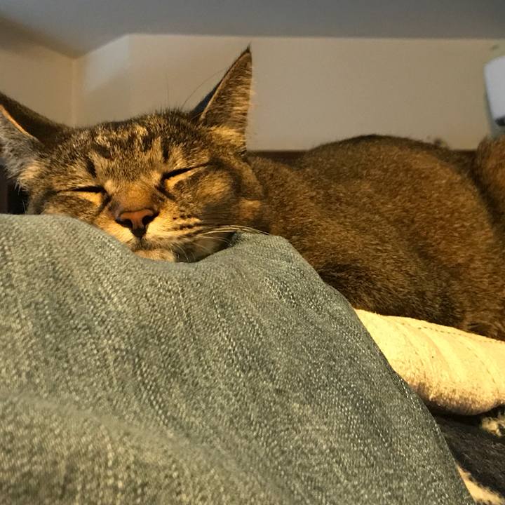 B0f815a6 3168 40ce a3d2 0e8c895ffa26 1526663491485