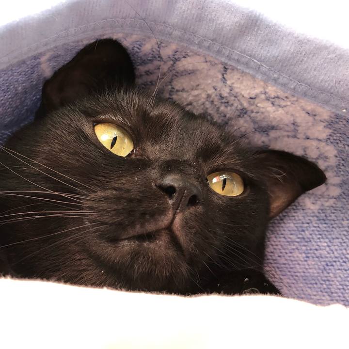 B0f81d86 72d1 4676 af0d ef6a3478a39f 1554421920287