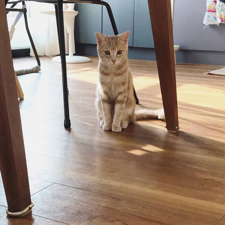 B0f82c3b a9b7 4347 bf49 7e4e99464c21 1554791088490