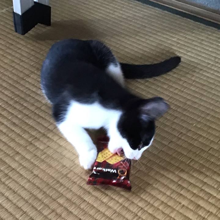 B0f84963 23d2 458c bd3d 6d8e60b65b43 1625713116006