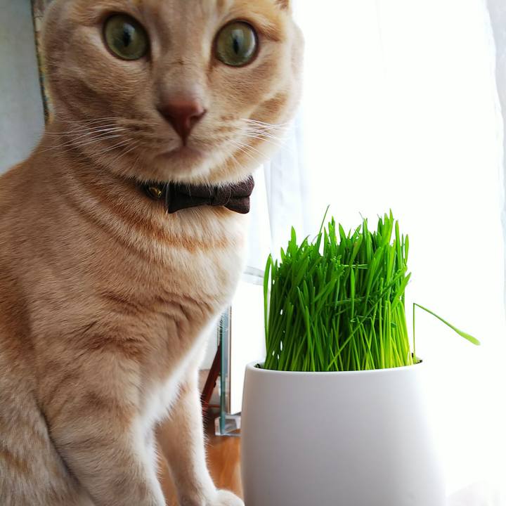 B0f84ab1 5312 49d4 8dbb ffc1d4b5d5a8 1617417644059