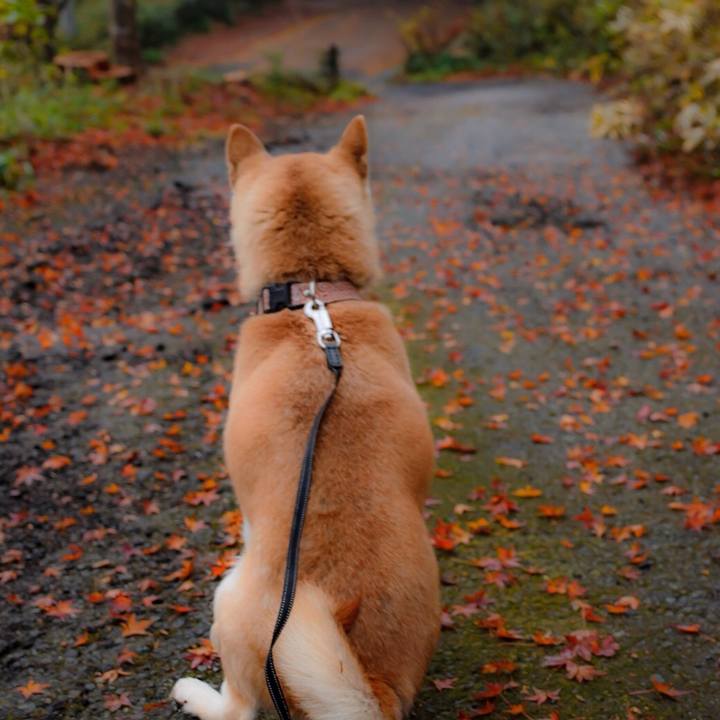 B0f8620b fbe3 4cd3 b7bc 4493314df8e6 1513472128770