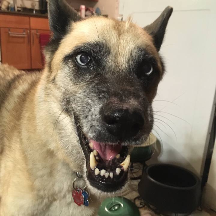 B0f86485 703b 4055 9c3e a90d9bfedef0 1539923973997