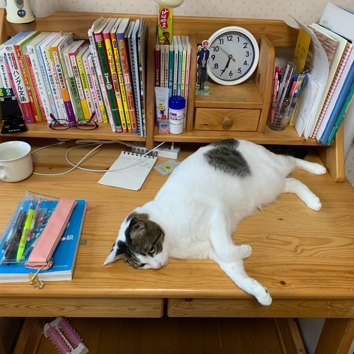 B0f8666e b719 42bc aa66 7f5972f12c68 1634160957026