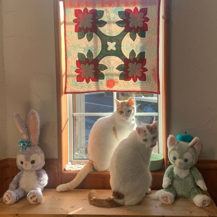 B0f87dc2 f176 4848 a0aa fd39ecaeb722 1582443953358