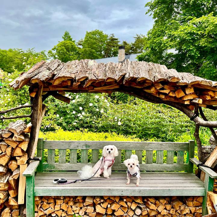 B0f88675 57be 4a40 9ac8 6770f70476cd 1655970706500