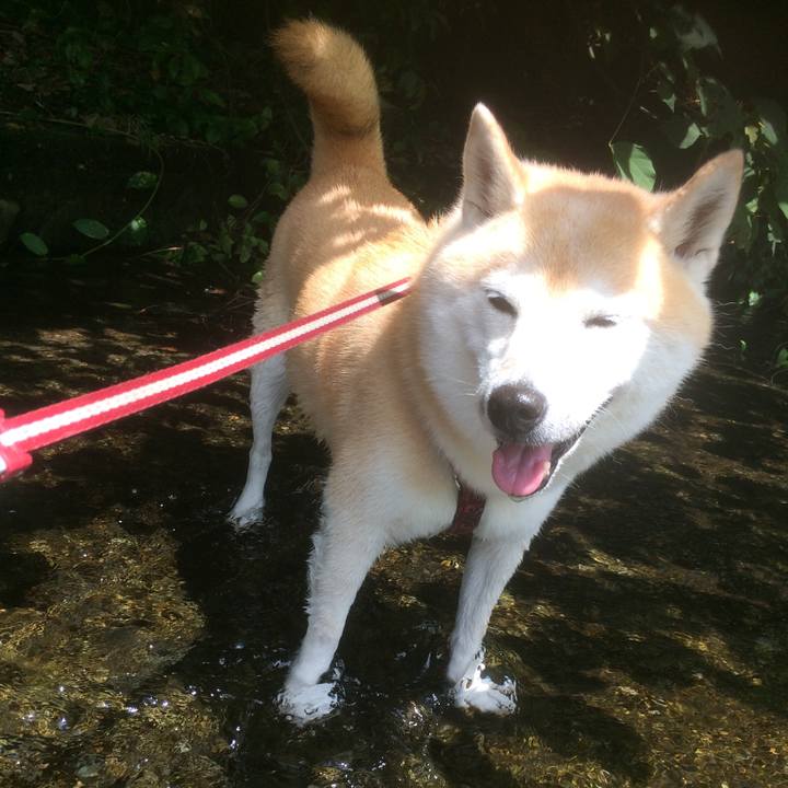 B0f88e38 bcd7 4b63 9711 48742fe33313 1564916621276