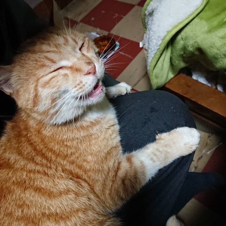 B0f91ef1 48f7 4306 835f d72d0afd031d 1587591735889