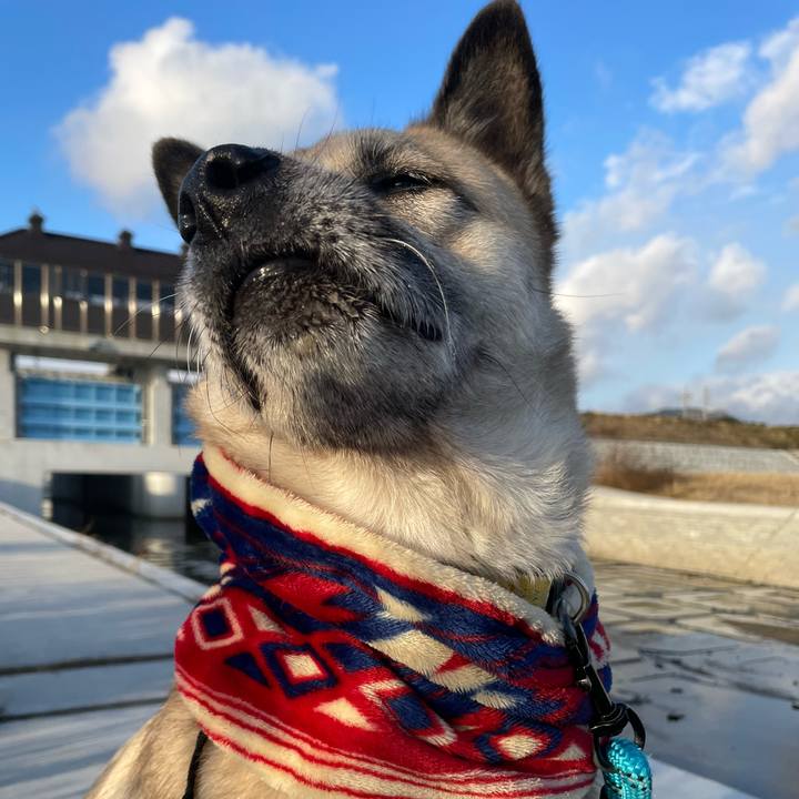 B0f9297a bc92 4e3f 91ac f9ce45e349ca 1702812925262