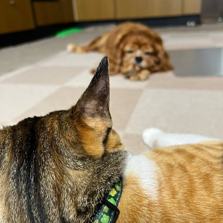 B0f935db 7c10 4c94 86ee ef71b15ff9eb 1688594272116