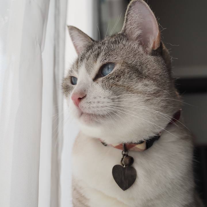 B0f937d2 fae5 4bca b4b1 71d3d0f78719 1598179098319