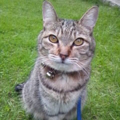 B0f93db7 5ca7 47d8 9073 a79474d20dd2 1599187410309