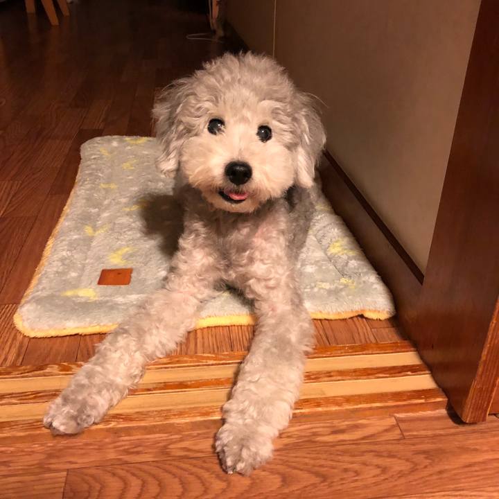 B0f948be 7279 497d 8cc7 3019044b0243 1532043506545