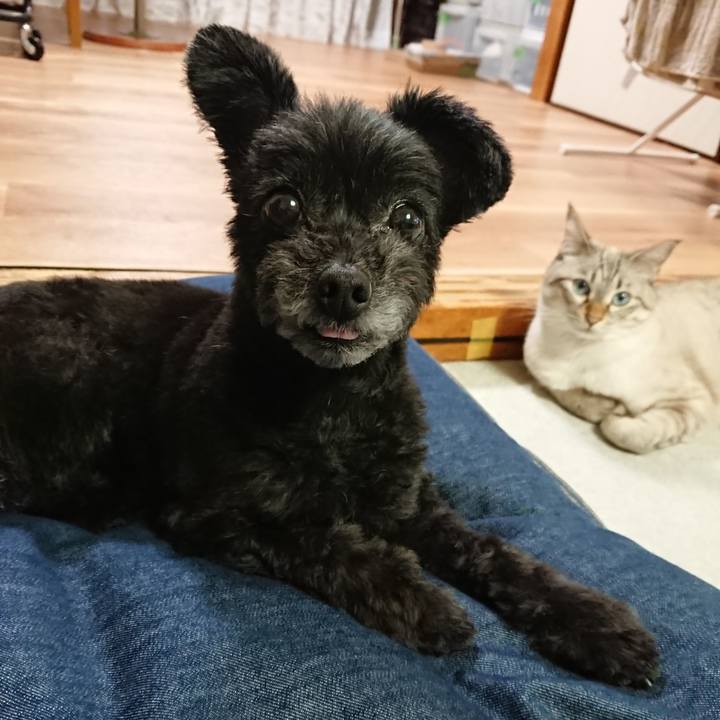 B0f97286 6cd3 4170 bceb 5f19eaa58d09 1570867937286