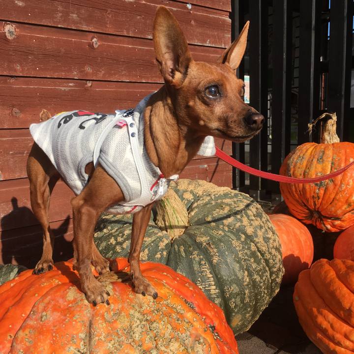 B0f9bf5d 40f7 416d a8fe 38b00343e144 1601114596247