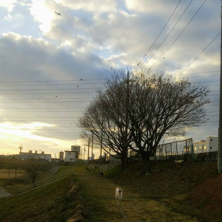 B0fa0797 9137 4ac0 9126 947edad0534c 1548771029090