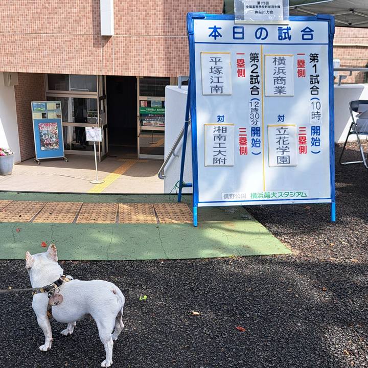 B0fa6b5d ef2f 425a 86ce 4009f1d96f5e 1720830511336