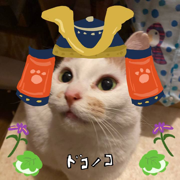 B0fa6e9c af43 4699 9396 eb69536d6b44 1714904892667