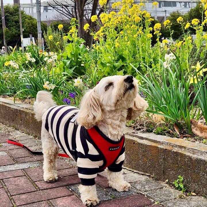 B0fa7657 fce6 4393 b261 40ea042b619a 1772422946217