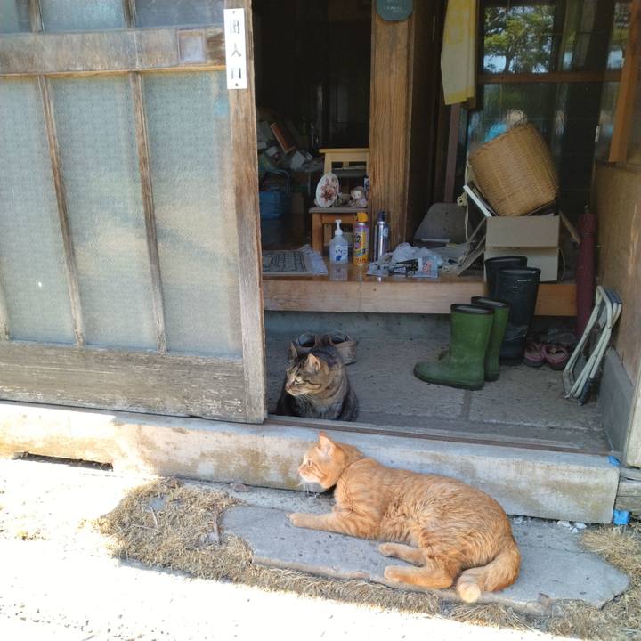 B0faa5cc fa0b 4b92 876b b28a60c4275c 1715680456714