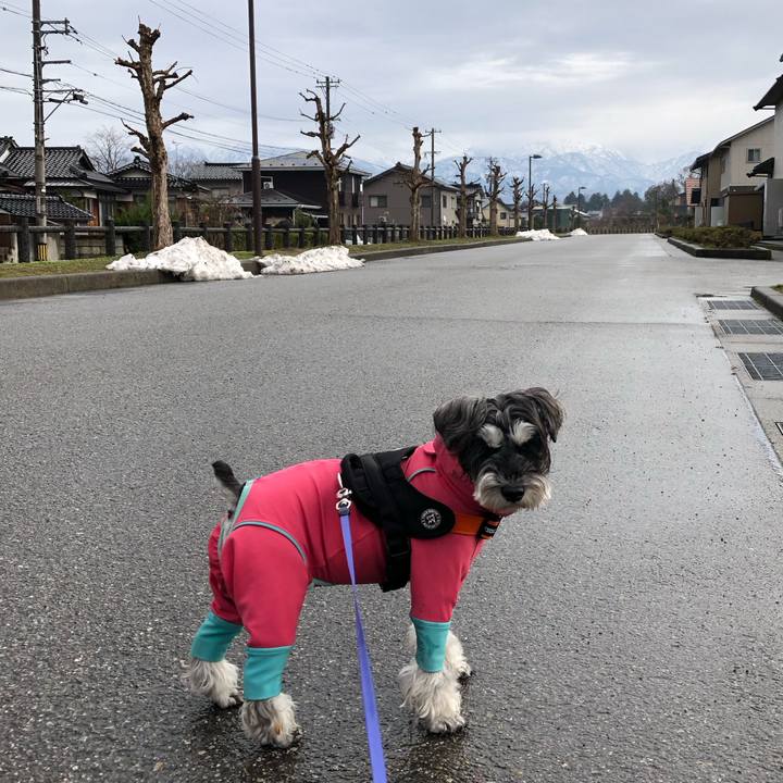 B0fabcbf dc16 422f b8ed 95c9e0e65645 1703993537261