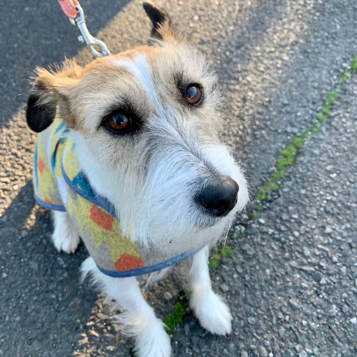 B0facbcf 3ef7 4e3e a08c 7edc6031f8d0 1677418101930