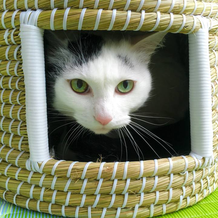 B0fadd58 84d7 4164 ba64 54a4a18264b2 1599377568617