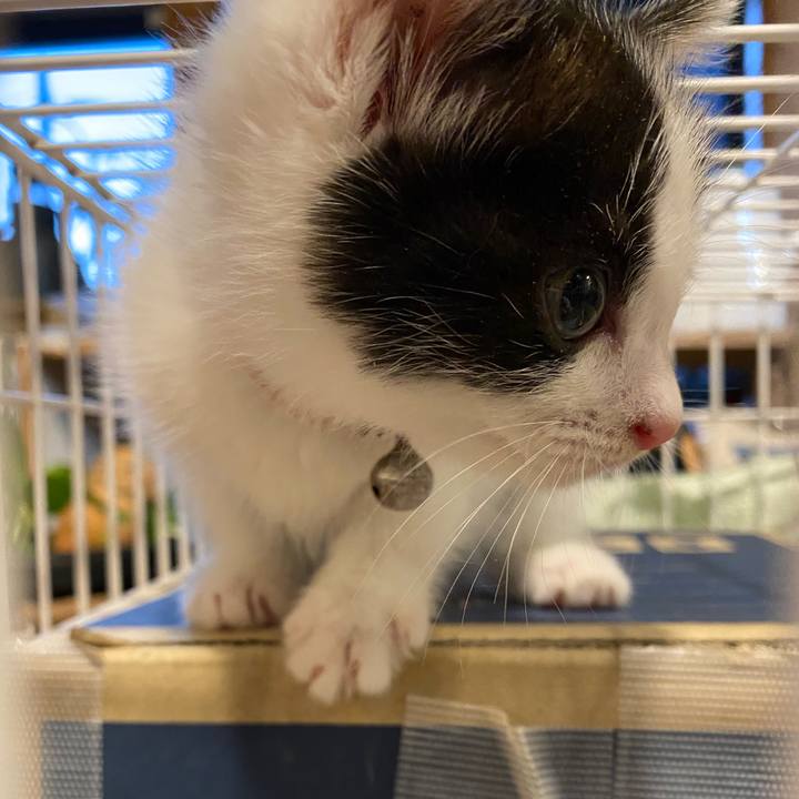 B0faed2b d7a1 4d7b a559 b75d1e4b1fdf 1651659028441