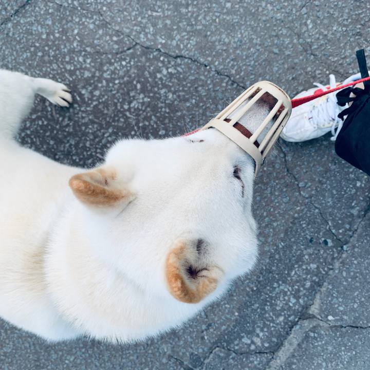 B0fb550f 65dc 4f81 8cb6 9b853a450e0d 1595105662903