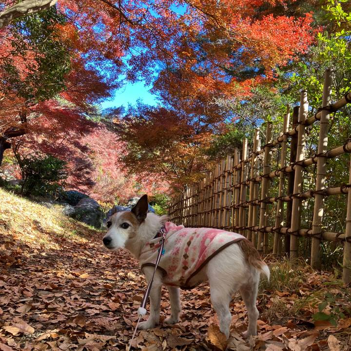 B0fb7484 d226 4224 a9bb d57114d6aea9 1701561872084