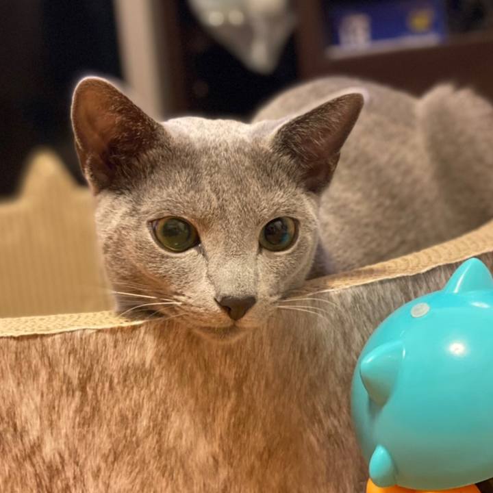 B0fb93d0 023e 4d57 86f6 105801cfb6fd 1616410932423