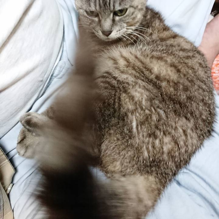 B0fb9e8a 300e 4978 9175 752b8a678415 1568201975521